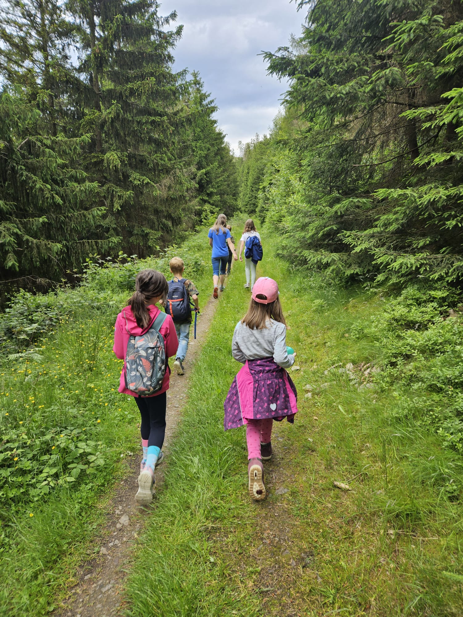 2024 06 16 Waldtrolle 1
